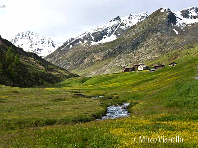 le tipiche tee livignasche in Vallaccia - Trepalle Vallaccia - Tipiche baite