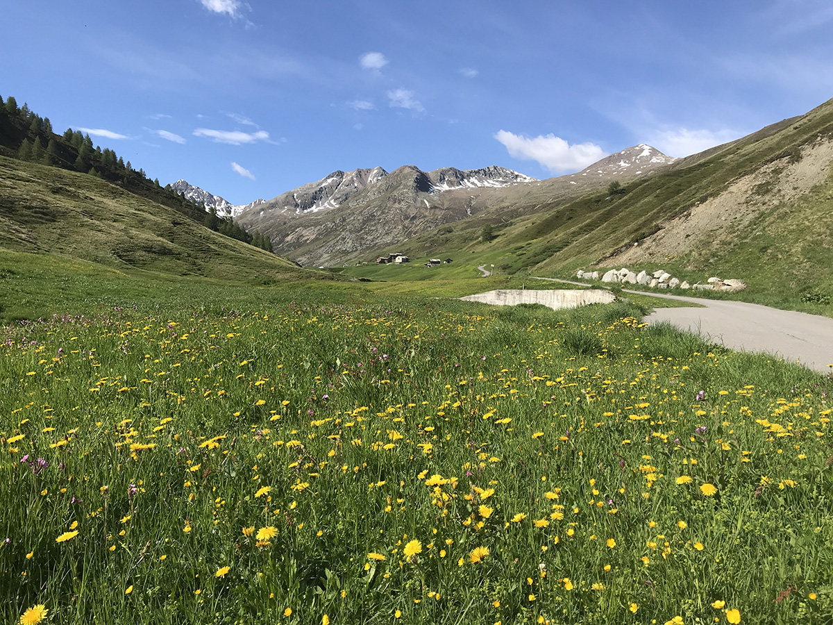 La Vallaccia Vallaccia a Trepalle