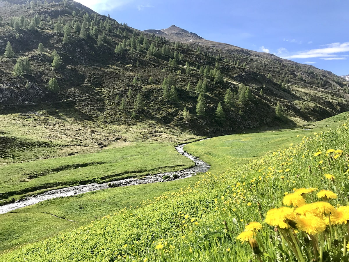 Il torrente Vallaccia 