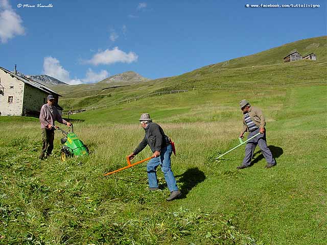 Vallaccia - fienagione