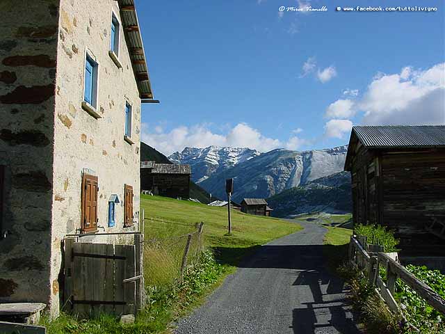 Vallaccia - Trepalle - la strada è aperta solo ai residenti nelle tee in estate la strada di Vallaccia - Trepalle