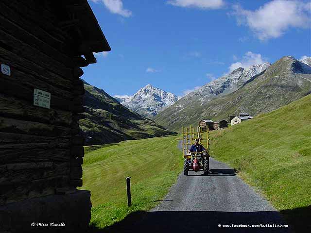 Vallaccia - La strada non è larghissima il piccolo trattore ne da le dimensioni Un trattore in Vallaccia