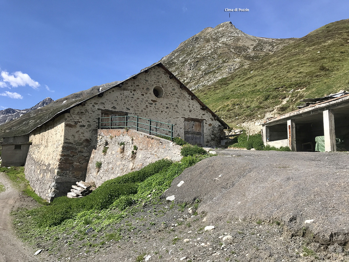 La Vallaccia a Trepalle - la malga Vallaccia a Trepalle - la malga