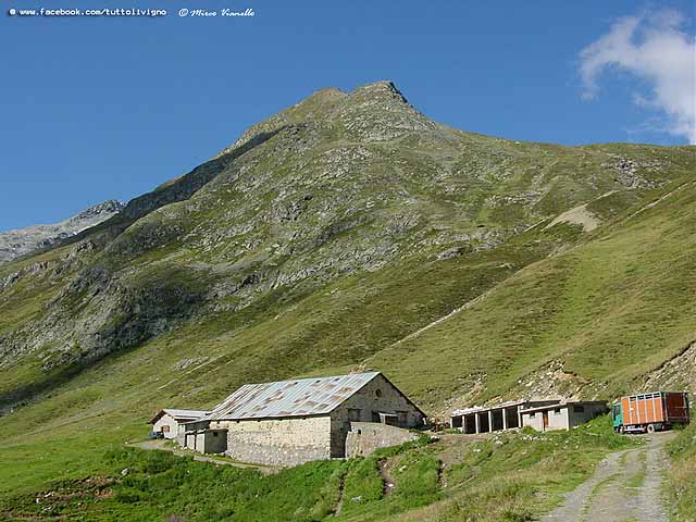 La malga di Vallaccia - Trepalle Vallaccia - la malga