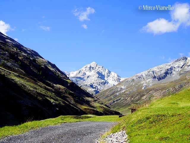 Veduta estiva della Vallaccia verso i suoi confini Vallaccia - Trepalle