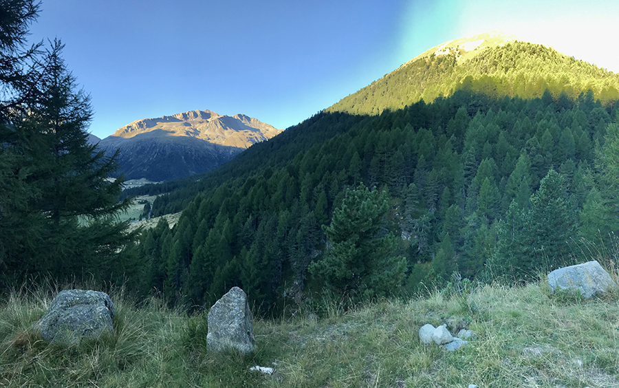 Valle del Monte Livigno - Bosco della Ganda
