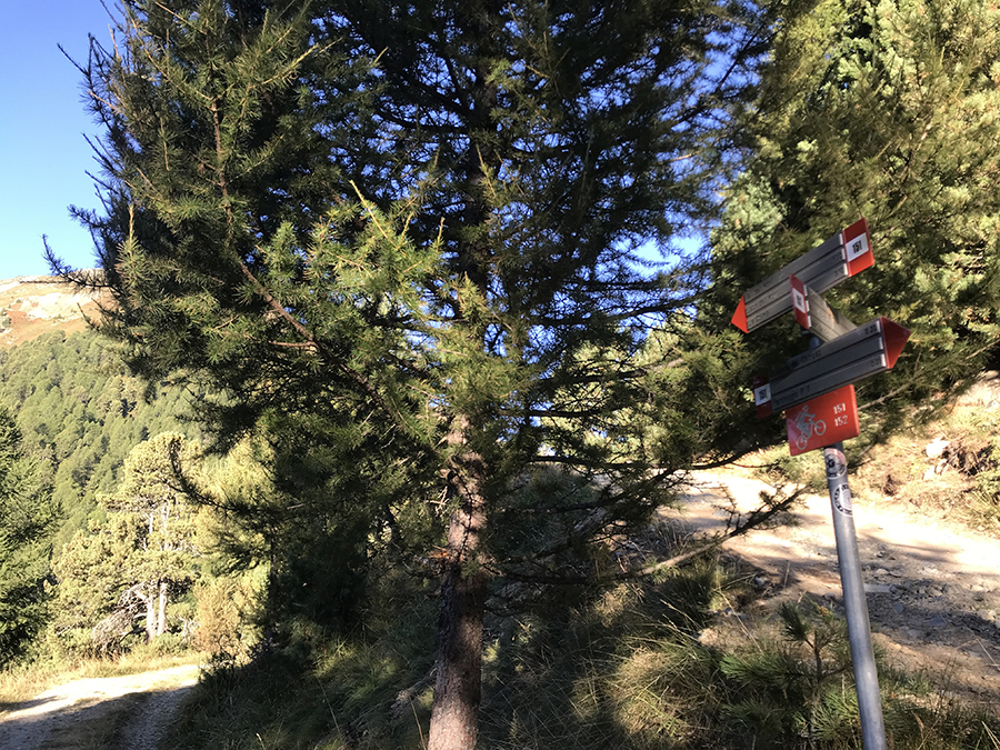 Valle del Monte Livigno - ai cartelli prendere la strada più bassa