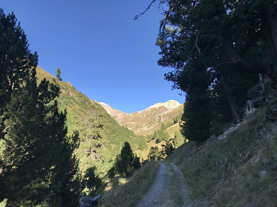 Valle del Monte Livigno - la carrozzabile sterrata inoltrandosi in Valle