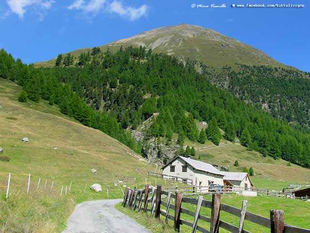 Alpe Campaccio - partenza sentiero per la valle del Monte Valle del Monte Livigno - partenza sentiero