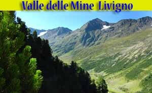 Valle delle Mine Livigno