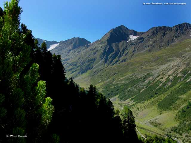 Valle delle Mine salendo al Baitel dali Fema