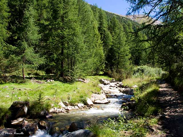 Valle delle Mine - il torrente nel bosco