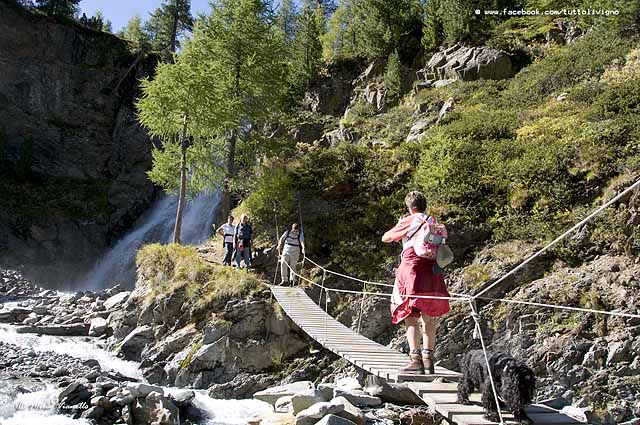 prima della biforcazione tra Val di campo e Val Nera consigliabile una visita alla cascata di val nera Valle di campo - Cascata di Val Nera