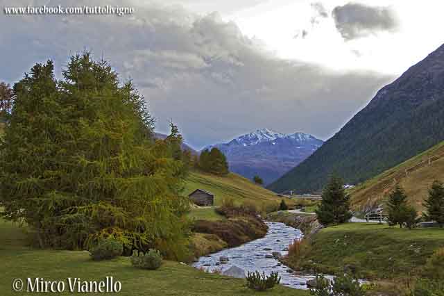 Valle di livigno - il fiume Spoel Valle di Livigno - ansa del fiume Spoel