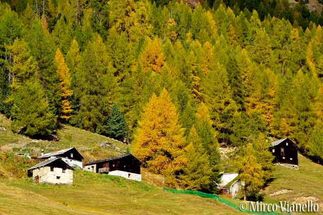 Valle di livigno - vecchie tee in autunno Valle di Livigno - vecchie baite