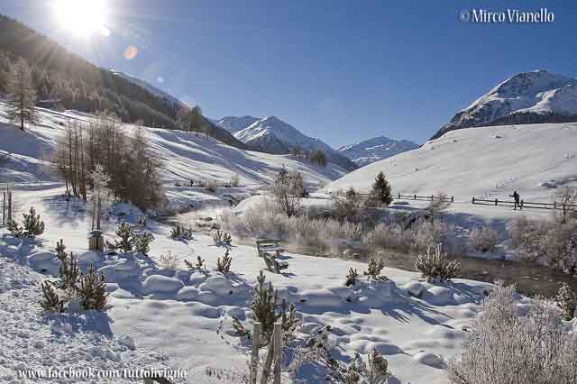 Veduta invernale di un ansa dello Spoel valle di Livigno - Lo Spoel inverno