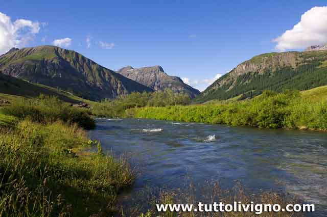 Lo Spoel scorre verso il Nord Il fiume Spoel scorre verso nord