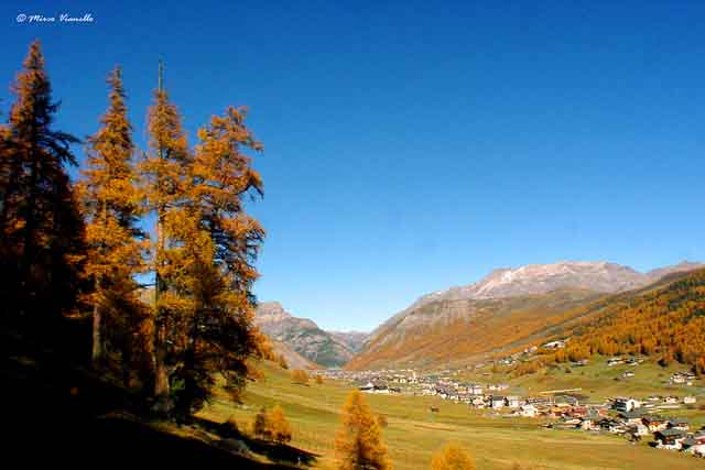 Valle di Livigno - Autunno