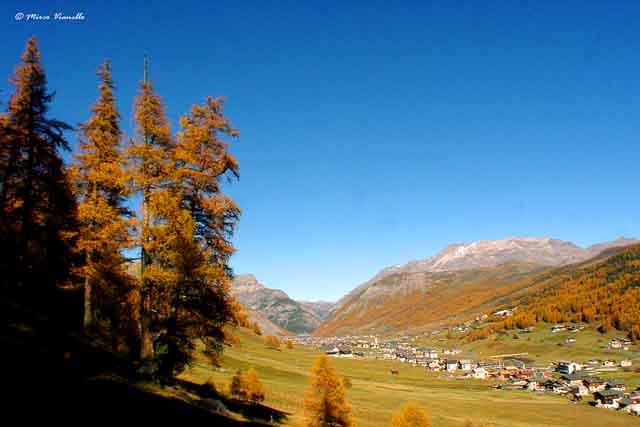 Valle di livigno colori autunnali Valle di Livigno - Autunno