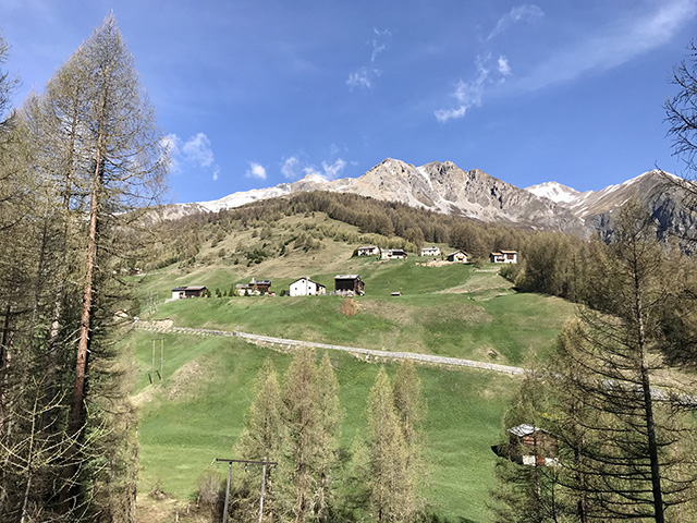 alla fine, tornando verso Federia