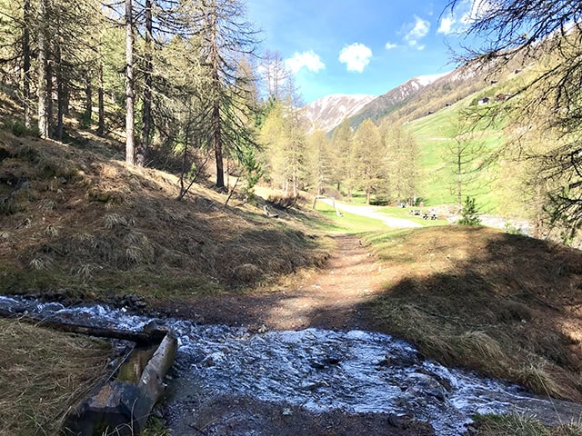 di nuovo sulla strada dove si è partiti nuovamente da dove si è partiti