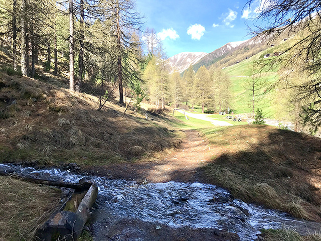 di nuovo sulla strada dove si è partiti