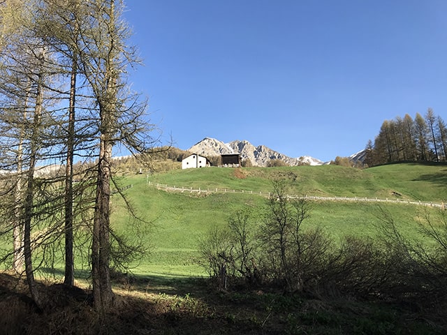 guardando verso li Piza da Rin verso Piza da Rin