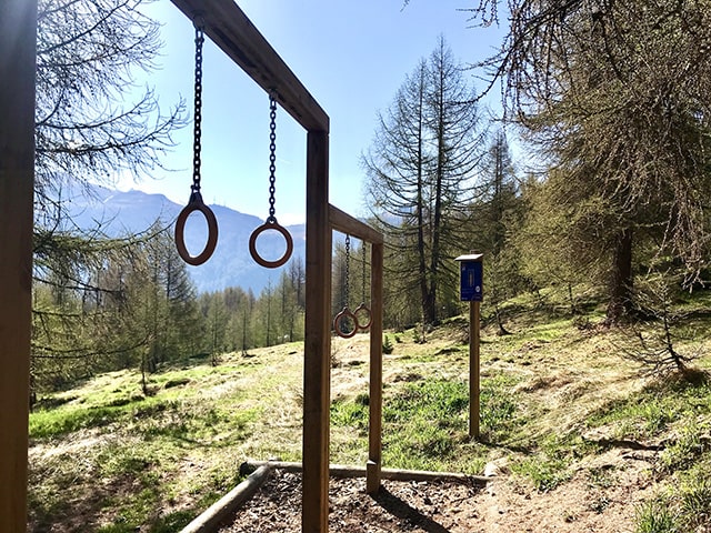 uno degli esercizi prima di uscire dal bosco un esercizio