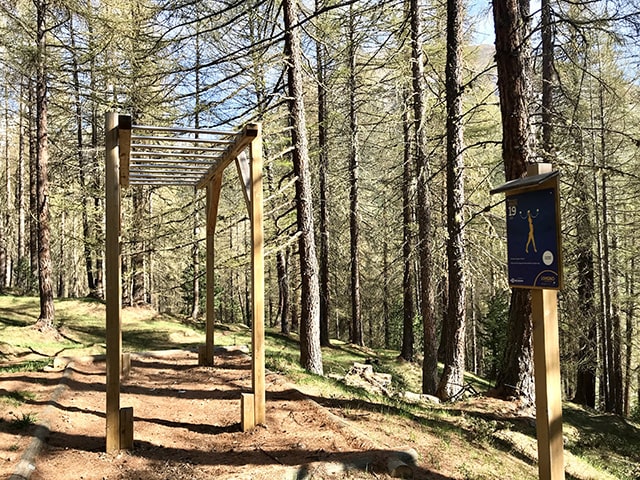 si rientra nel bosco con altri esercizi nuovamente nel bosco