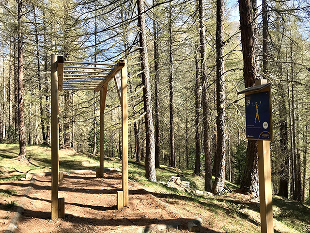 si rientra nel bosco con altri esercizi