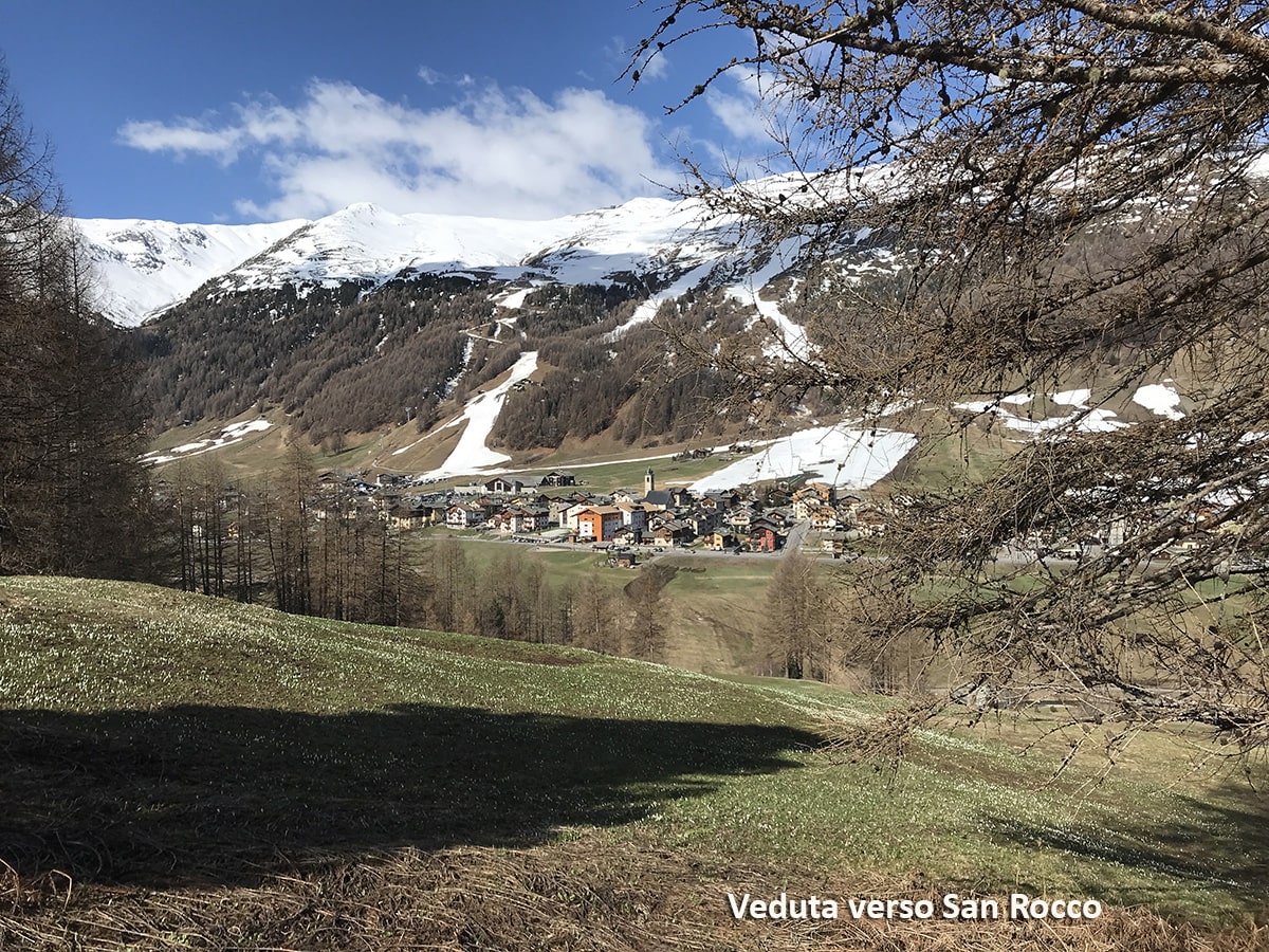 Panorama verso San Rocco veduta verso San Rocco