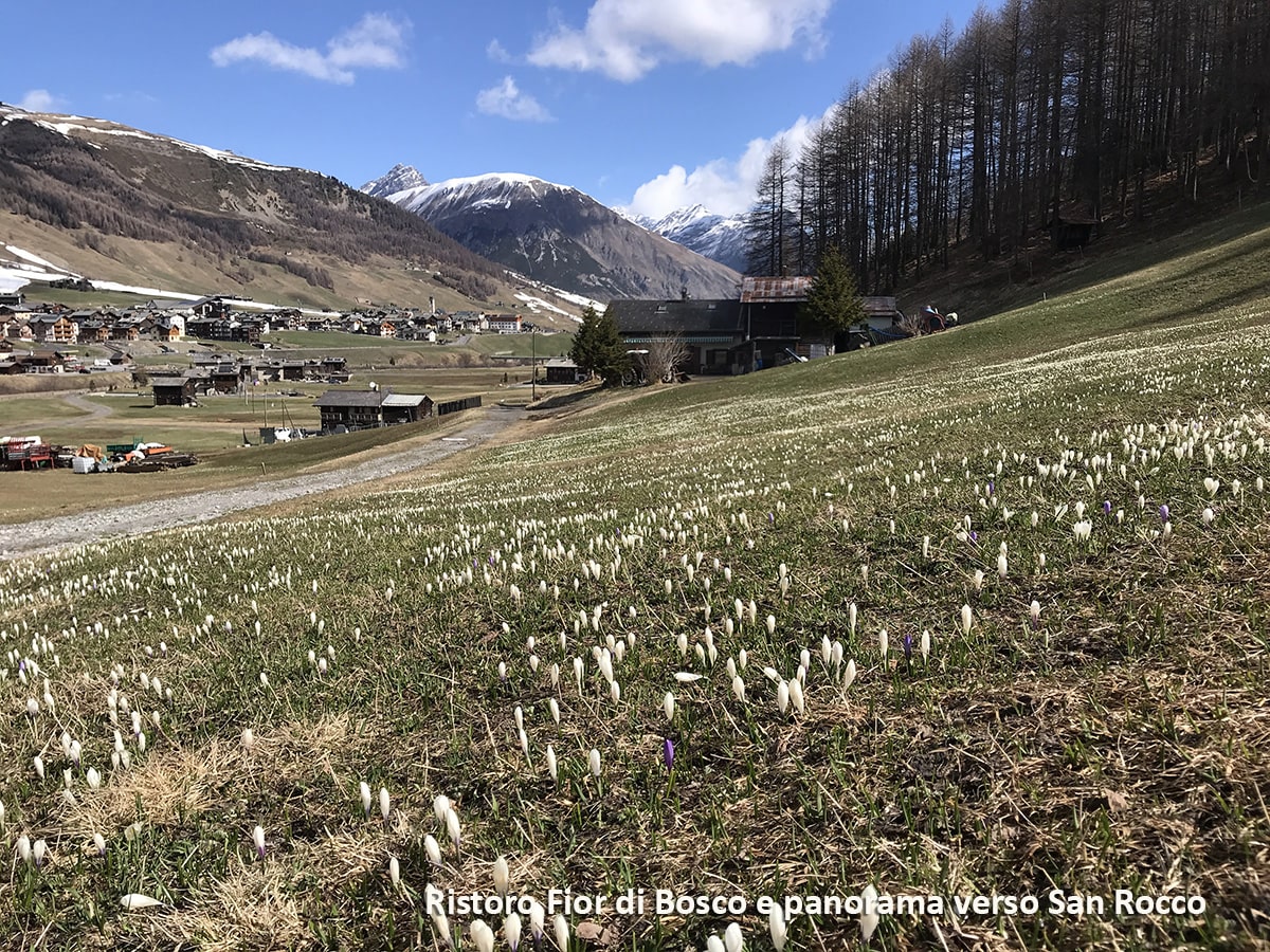 veduta del ristoro e verso San Rocco verso san rocco